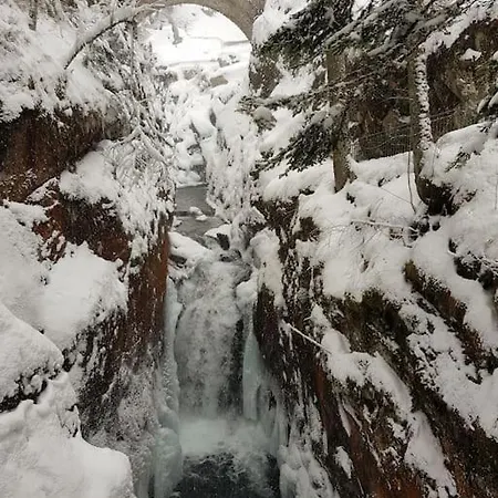 Le Petit Montagnard *