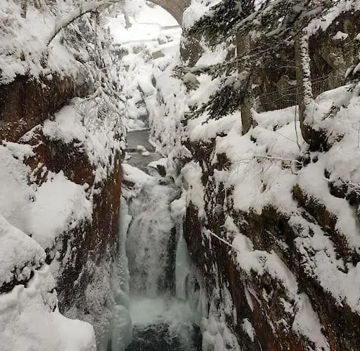 Le Petit Montagnard *